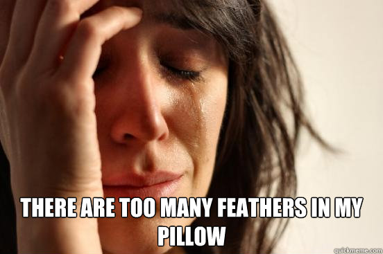  There are too many feathers in my pillow  First World Problems