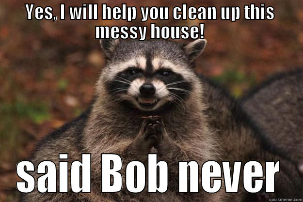 YES, I WILL HELP YOU CLEAN UP THIS MESSY HOUSE! SAID BOB NEVER Evil Plotting Raccoon