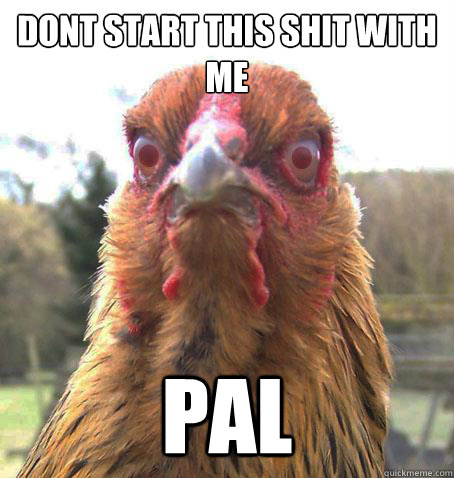 Dont start this shit with me pal  RageChicken