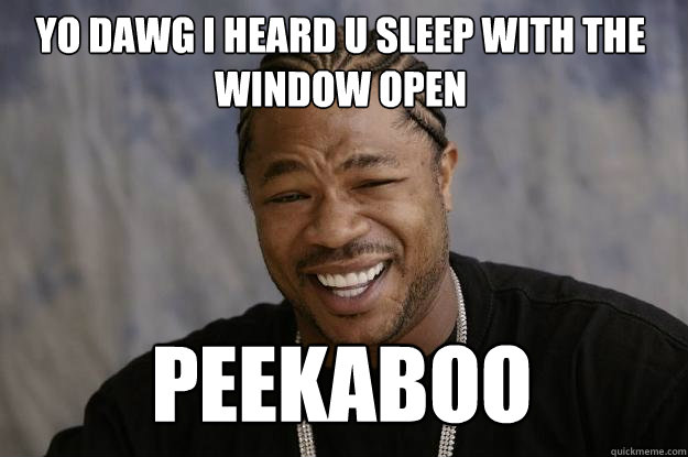 yo dawg i heard u sleep with the window open peekaboo - yo dawg i heard u sleep with the window open peekaboo  Xzibit meme