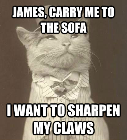 JAMES, CARRY ME TO THE SOFA I WANT TO SHARPEN MY CLAWS  Aristocat