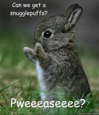 Pweeeaseeee? Can we get a snugglepuffs?  Cute bunny