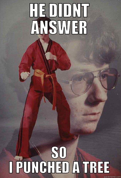 HE DIDNT ANSWER SO I PUNCHED A TREE Karate Kyle