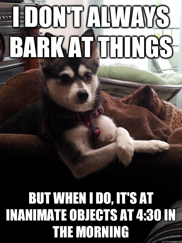 I don't always bark at things but when i do, it's at inanimate objects at 4:30 in the morning  