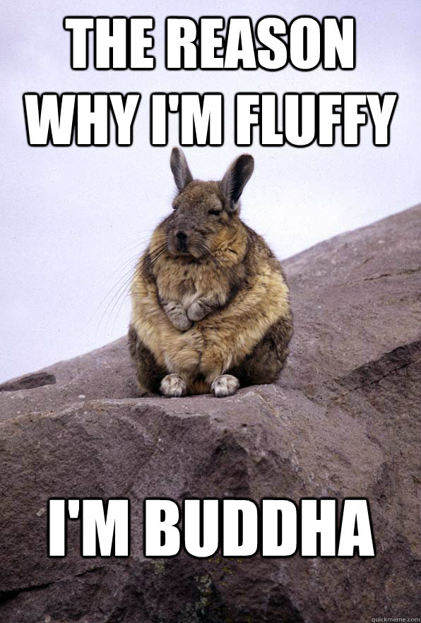 Meditating Bunny memes | quickmeme