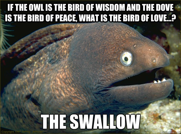 If the owl is the bird of wisdom and the dove is the bird of peace, what is the bird of love...?  the swallow  Bad Joke Eel