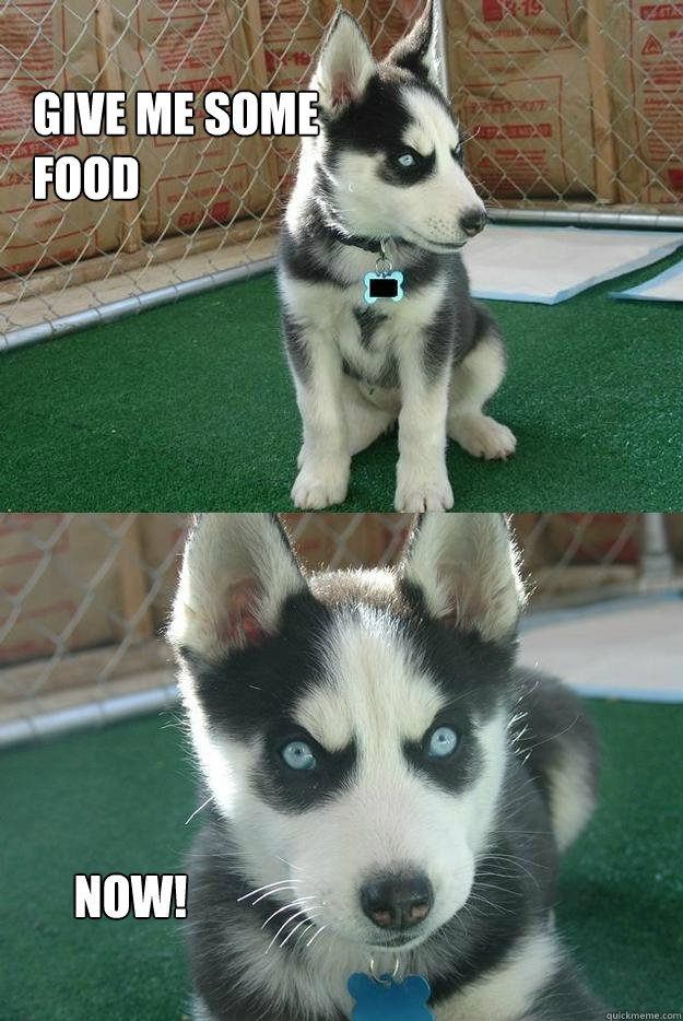 Give me some 
food NOW!  Insanity puppy