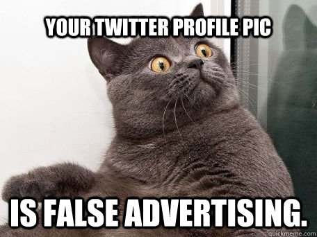 Your Twitter profile pic is false advertising.  - Your Twitter profile pic is false advertising.   conspiracy cat