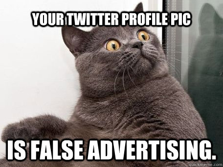 Your Twitter profile pic is false advertising.   conspiracy cat