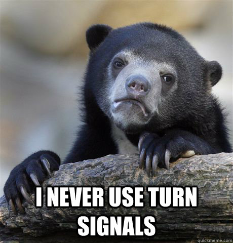  I never use turn signals  Confession Bear