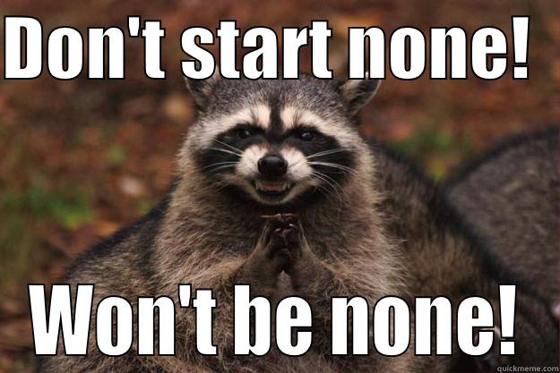 don't start raccoon - DON'T START NONE!   WON'T BE NONE! Evil Plotting Raccoon
