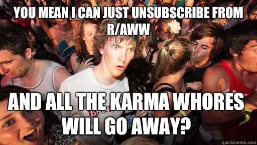 You mean I can just unsubscribe from r/aww And all the karma whores will go away?  Sudden Clarity Clarence