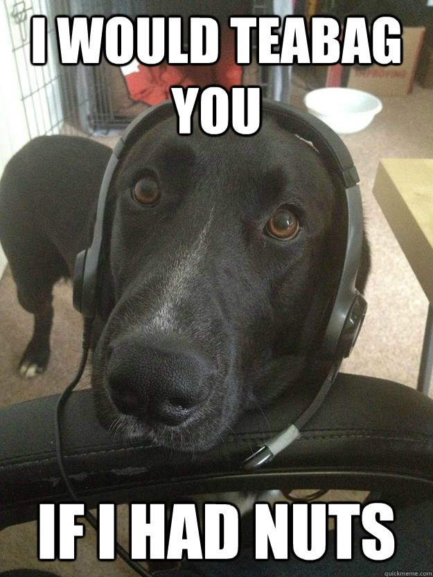 I would teabag you if i had nuts - I would teabag you if i had nuts  Gamer Dog