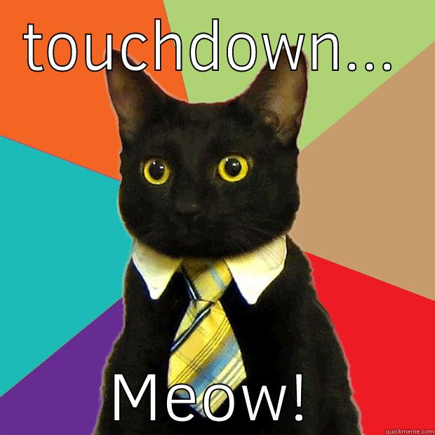 Catkiller touchdown - TOUCHDOWN... MEOW! Business Cat