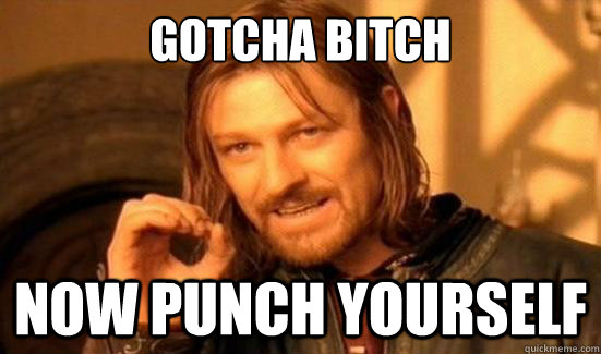 Gotcha Bitch Now punch yourself  Boromir