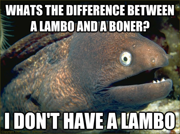 Whats the difference between a lambo and a boner? I don't have a lambo - Whats the difference between a lambo and a boner? I don't have a lambo  Bad Joke Eel