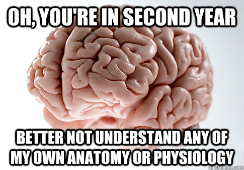 Oh, you're in second year better not understand any of my own anatomy or physiology  Scumbag Brain
