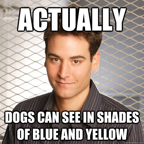 actually dogs can see in shades of blue and yellow  Scumbag Ted Mosby