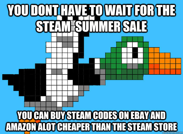 You dont have to wait for the steam  summer sale you can buy steam codes on ebay and amazon alot cheaper than the steam store - You dont have to wait for the steam  summer sale you can buy steam codes on ebay and amazon alot cheaper than the steam store  Gaming Advice Mallard