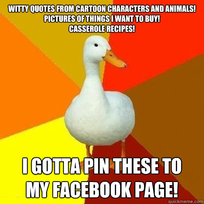witty quotes from cartoon characters and animals!
pictures of things I want to buy!
casserole recipes!  i gotta pin these to
my facebook page!  Technologically Impaired Duck
