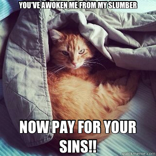 YOU'VE AWOKEN ME FROM MY SLUMBER NOW PAY FOR YOUR SINS!!  Evil Cat