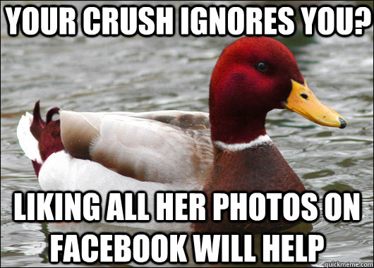 your crush ignores you? liking all her photos on facebook will help  Malicious Advice Mallard