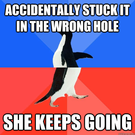 Accidentally stuck it in the wrong hole she keeps going - Accidentally stuck it in the wrong hole she keeps going  Socially Awkward Awesome Penguin