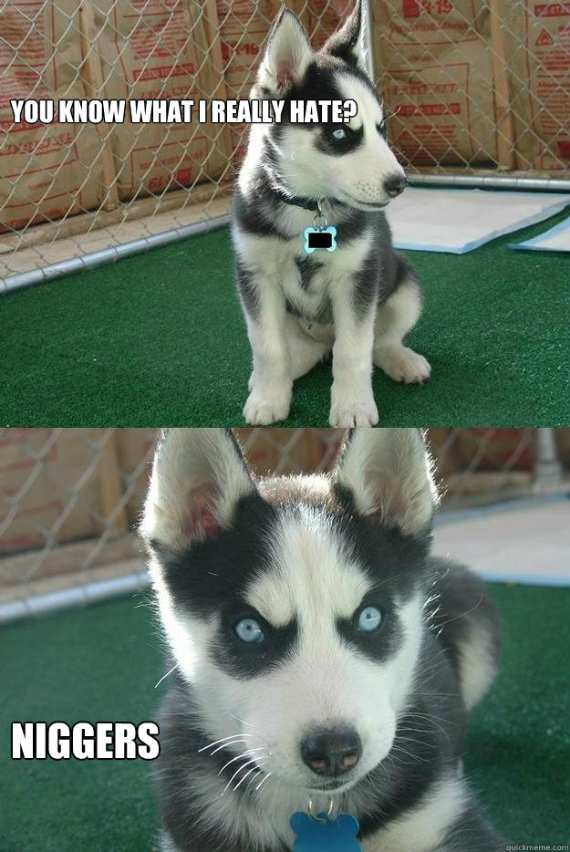 You know what i really hate? NIGGERS  Insanity puppy