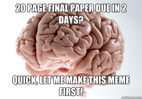 20 page final paper due in 2 days? Quick, let me make this meme first!  Scumbag Brain