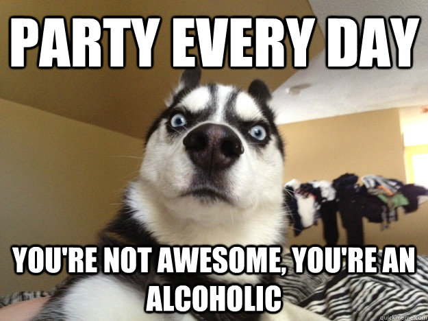 Party every day You're not awesome, You're an alcoholic - Party every day You're not awesome, You're an alcoholic  Realization Dog