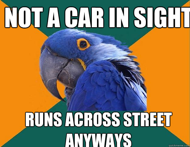 Not a car in sight runs across street anyways  Paranoid Parrot