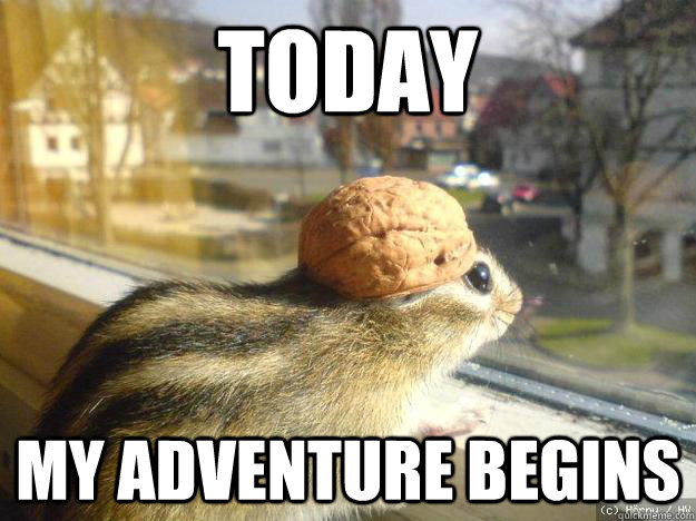 today My adventure begins - today My adventure begins  Adventure Chipmunk