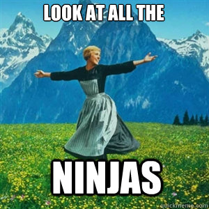 Look at all the ninjas  And look at all the fucks I give