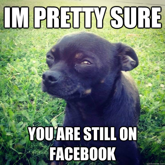 IM PRETTY SURE You are still on Facebook  Skeptical Dog