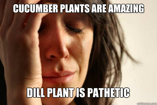 Cucumber plants are amazing
 Dill plant is pathetic Caption 3 goes here  First World Problems
