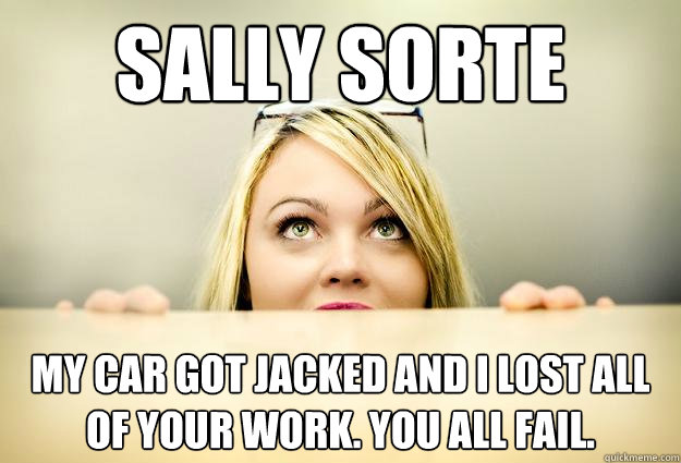 Sally sorte My car got jacked and i lost all of your work. You all fail.  