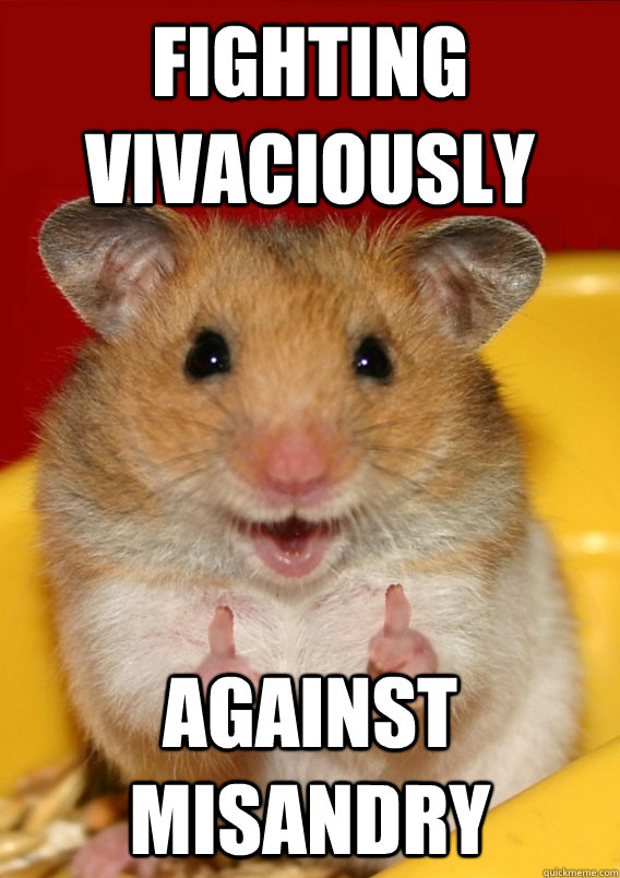 fighting vivaciously against misandry  - fighting vivaciously against misandry   Rationalization Hamster