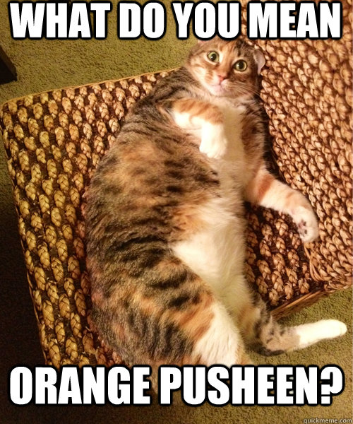 what do you mean orange pusheen? - what do you mean orange pusheen?  Misc