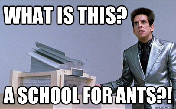WHAT is this? a school for ants?!  School for ants