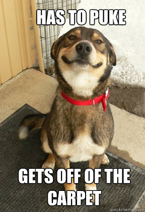 Has to puke gets off of the carpet - Has to puke gets off of the carpet  Good Dog Greg