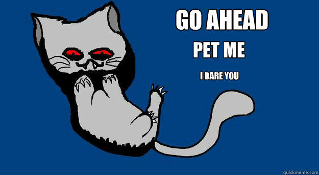 GO AHEAD PET ME I dare you - GO AHEAD PET ME I dare you  Evil Cat