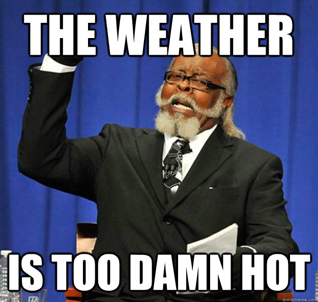 the weather Is too damn hot - the weather Is too damn hot  Jimmy McMillan