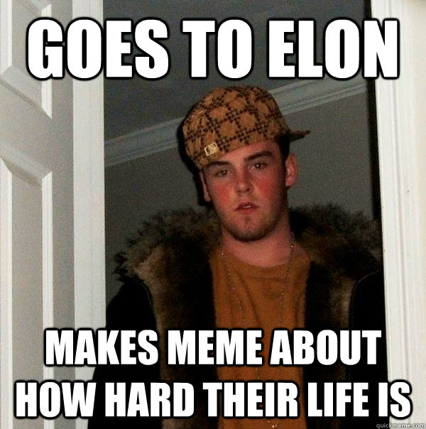 Goes to elon Makes meme about how hard their life is   Scumbag Steve