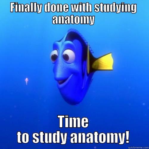 FINALLY DONE WITH STUDYING ANATOMY TIME TO STUDY ANATOMY! dory