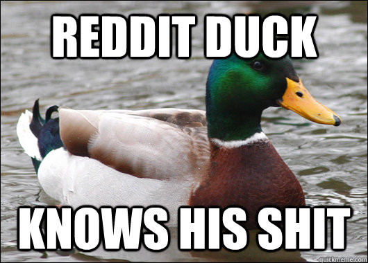 REDDIT DUCK KNOWS HIS SHIT  Actual Advice Mallard