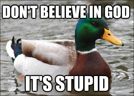 don't believe in god it's stupid  Actual Advice Mallard