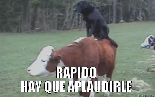  RAPIDO HAY QUE APLAUDIRLE Success Kid