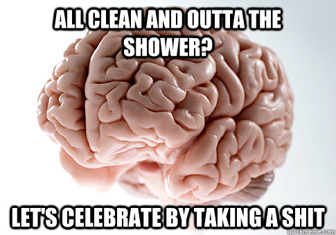 all clean and outta the shower? let's celebrate by taking a shit  Scumbag Brain