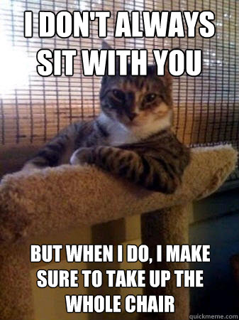 I don't always sit with you but when I do, I make sure to take up the whole chair  The Most Interesting Cat in the World