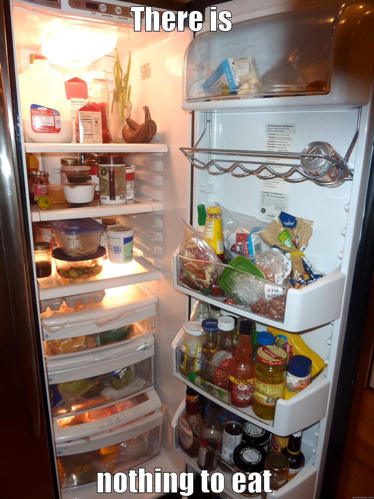 Filled Fridge - THERE IS  NOTHING TO EAT Misc